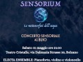 SENSORIUM! La metamorfosi dell'acqua